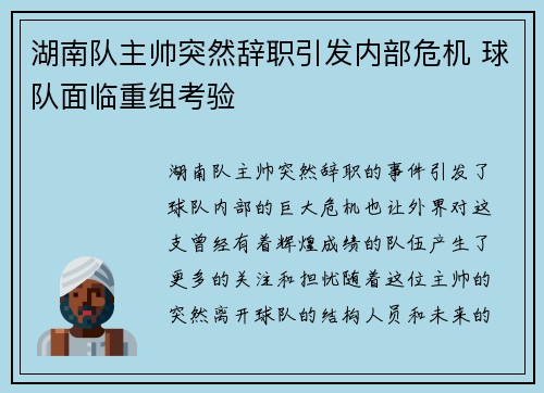 湖南队主帅突然辞职引发内部危机 球队面临重组考验