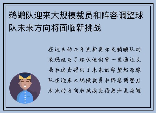鹈鹕队迎来大规模裁员和阵容调整球队未来方向将面临新挑战